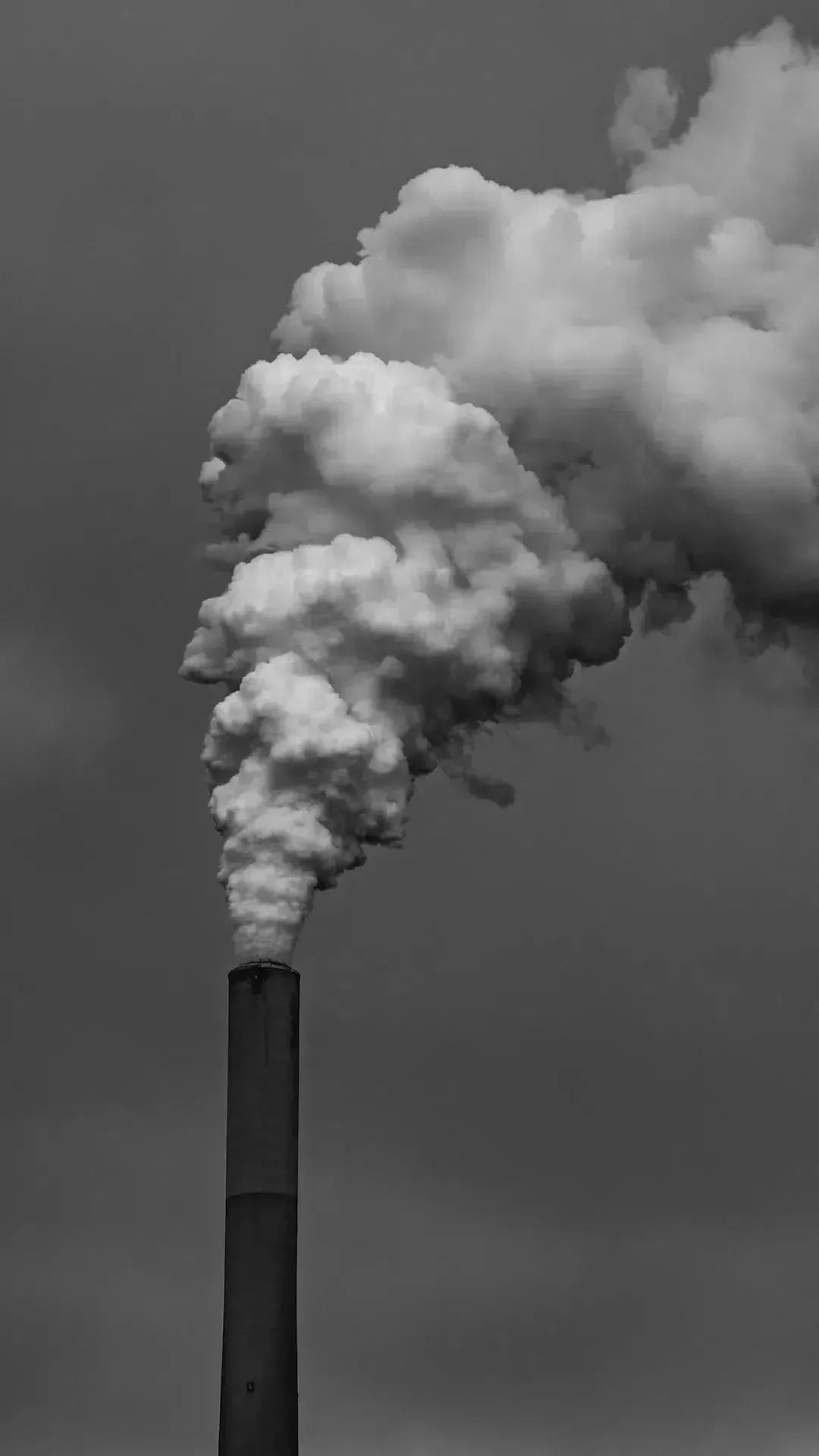 KN95 Protects Against Poor Air Quality