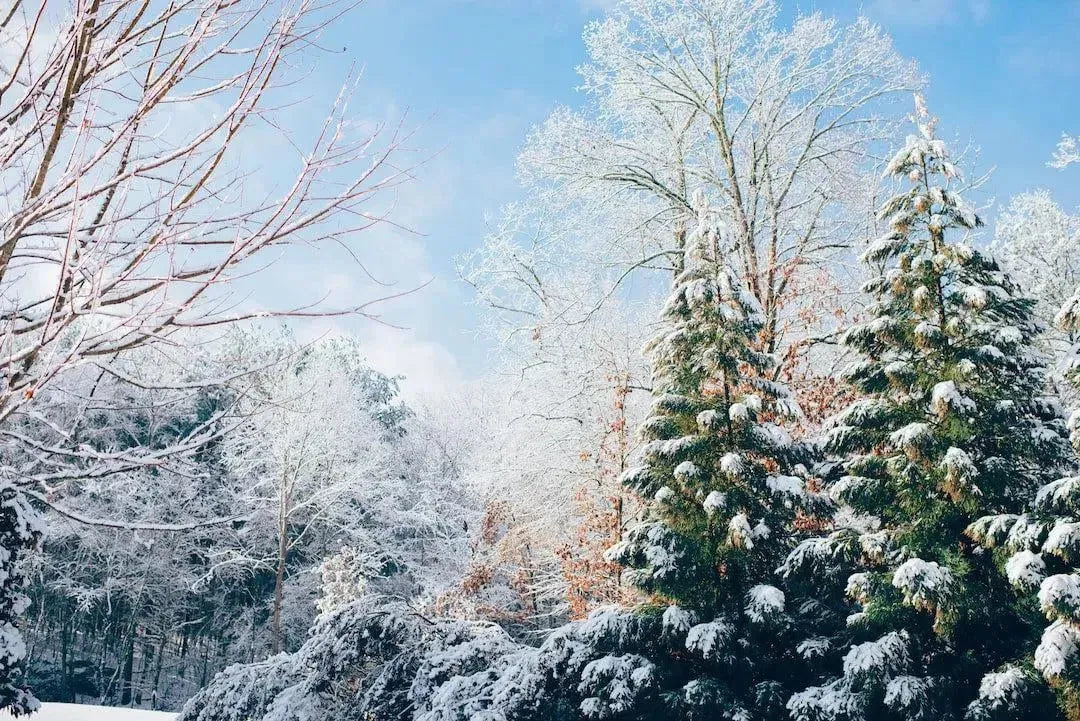 The Essential Benefits of Wearing KN95 Face Masks in Cold Weather